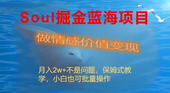 Soul掘金蓝海项目细分赛道，做情感价值变现，月入2w+不是问题-BT网赚资源网