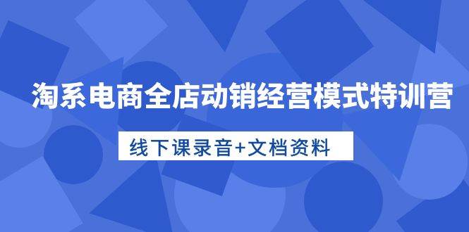 淘系电商全店动销经营模式特训营，线下课录音+文档资料-BT网赚资源网