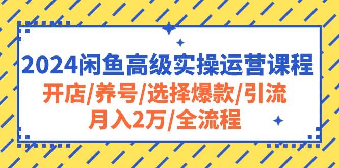 2024闲鱼高级实操运营课程：开店/养号/选择爆款/引流/月入2万/全流程-BT网赚资源网