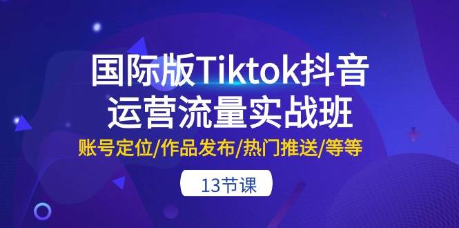 国际版Tiktok抖音运营流量实战班：账号定位/作品发布/热门推送/等等-13节-BT网赚资源网