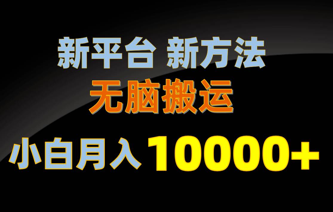 新平台新方法，无脑搬运，月赚10000+，小白轻松上手不动脑-BT网赚资源网