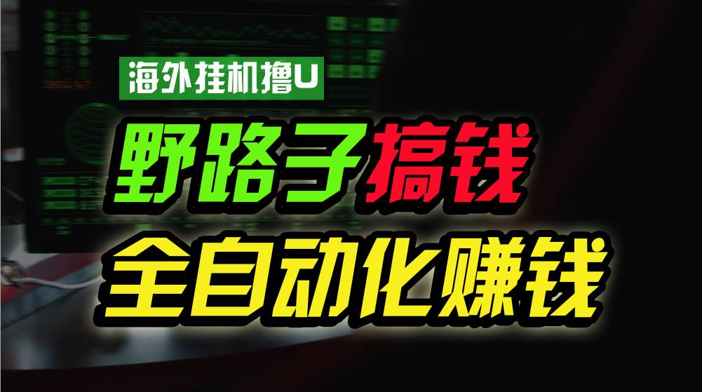 海外挂机撸U新平台，日赚8-15美元，全程无人值守，可批量放大，工作室内…-BT网赚资源网