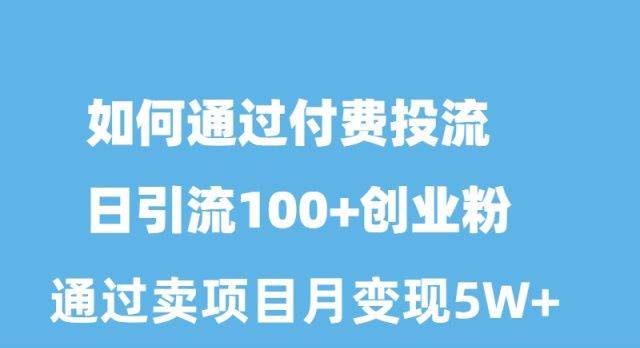 如何通过付费投流日引流100+创业粉月变现5W+-BT网赚资源网