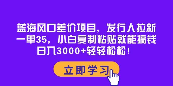 蓝海风口差价项目，发行人拉新，一单35，小白复制粘贴就能搞钱！日入3000+轻轻松松-BT网赚资源网