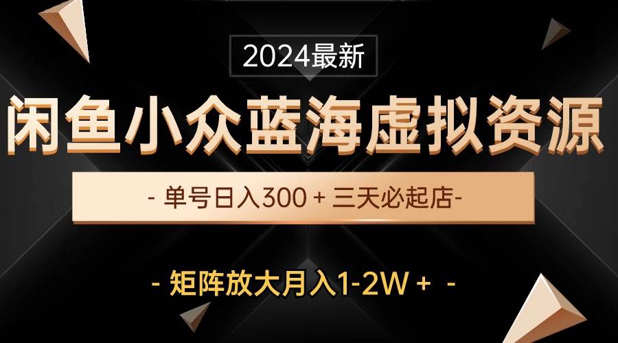 最新闲鱼小众蓝海虚拟资源，单号日入300＋，三天必起店，矩阵放大月入1-2W-BT网赚资源网