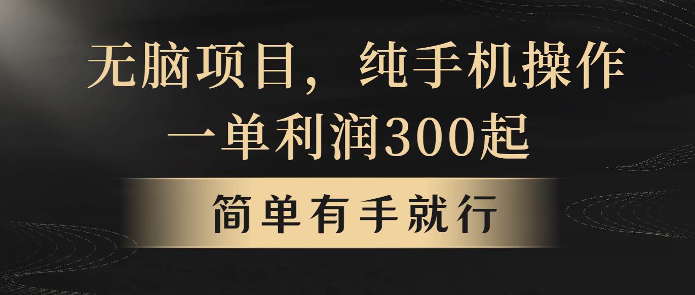 无脑项目，一单几百块，轻松月入5w+，看完就能直接操作-BT网赚资源网