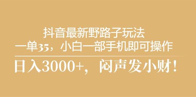 抖音最新野路子玩法，一单35，小白一部手机即可操作，，日入3000+，闷…-BT网赚资源网