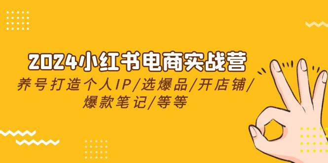 2024小红书电商实战营，养号打造IP/选爆品/开店铺/爆款笔记/等等（24节）-BT网赚资源网