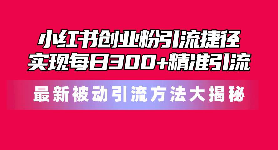 小红书创业粉引流捷径！最新被动引流方法大揭秘，实现每日300+精准引流-BT网赚资源网