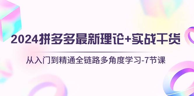 2024拼多多 最新理论+实战干货，从入门到精通全链路多角度学习-7节课-BT网赚资源网