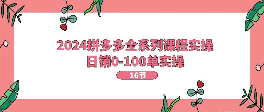 2024拼多多全系列课程实操，日销0-100单实操【16节课】-BT网赚资源网