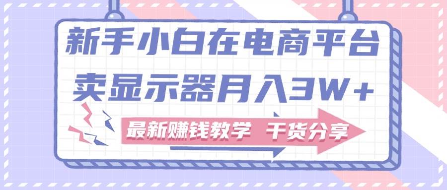 新手小白如何做到在电商平台卖显示器月入3W+，最新赚钱教学干货分享-BT网赚资源网