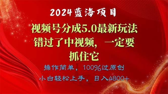 2024蓝海项目，视频号分成计划5.0最新玩法，错过了中视频，一定要抓住...-BT网赚资源网