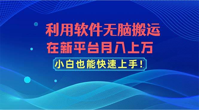 利用软件无脑搬运，在新平台月入上万，小白也能快速上手-BT网赚资源网