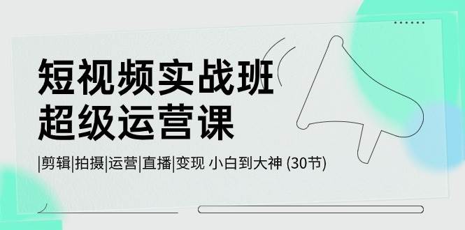 短视频实战班-超级运营课，|剪辑|拍摄|运营|直播|变现 小白到大神 (30节)-BT网赚资源网