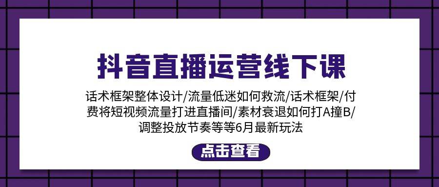 抖音直播运营线下课：话术框架/付费流量直播间/素材A撞B/等6月新玩法-BT网赚资源网