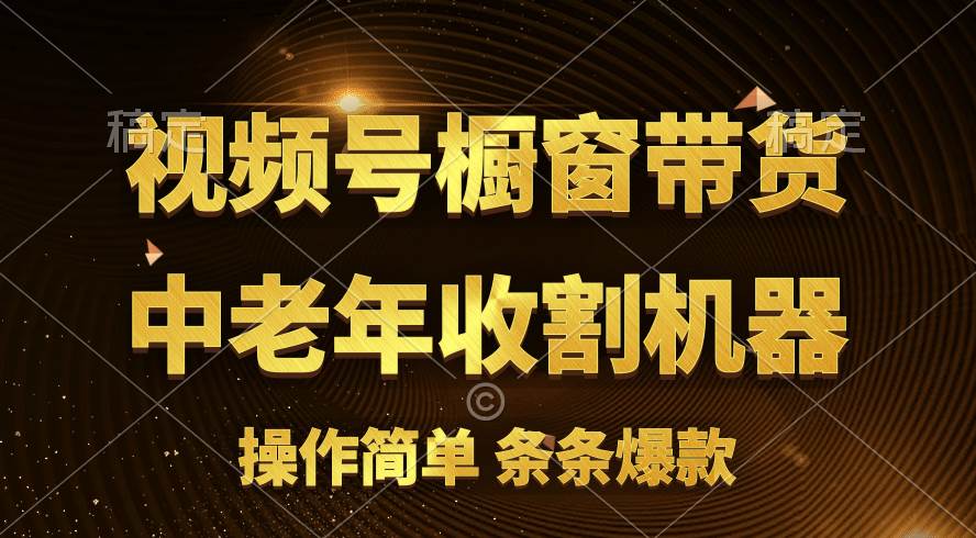 [你的孩子成功取得高位]视频号最火爆赛道，橱窗带货，流量分成计划，条...-BT网赚资源网