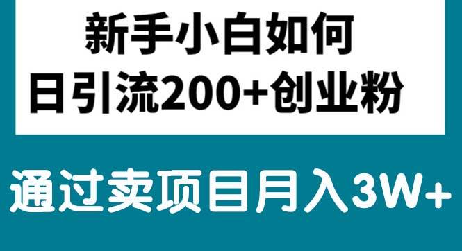 新手小白日引流200+创业粉,通过卖项目月入3W+-BT网赚资源网