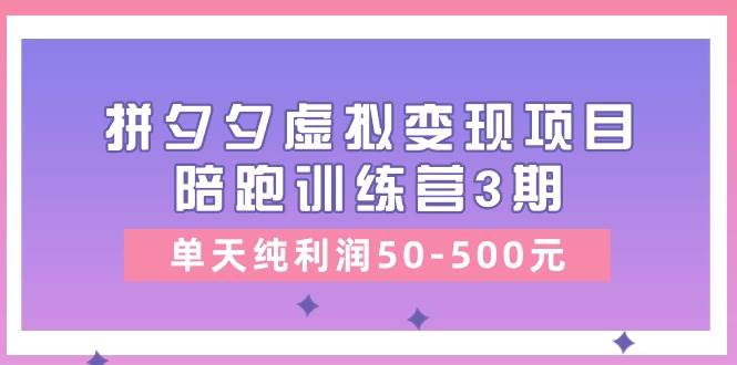 某收费培训《拼夕夕虚拟变现项目陪跑训练营3期》单天纯利润50-500元-BT网赚资源网