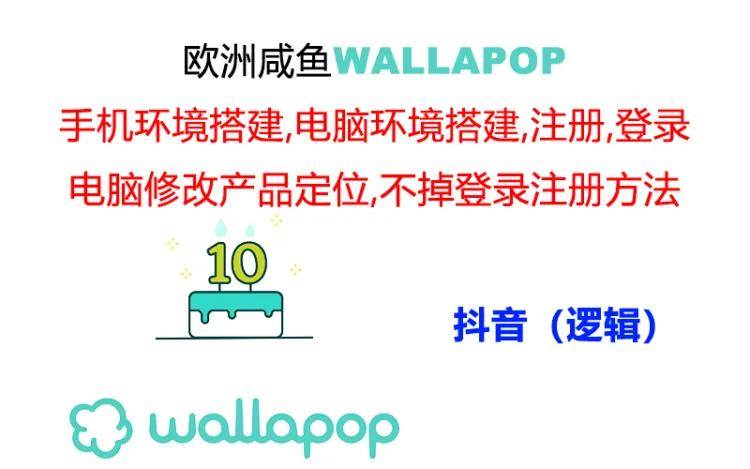 wallapop整套详细闭环流程：最稳定封号率低的一个操作账号的办法-BT网赚资源网