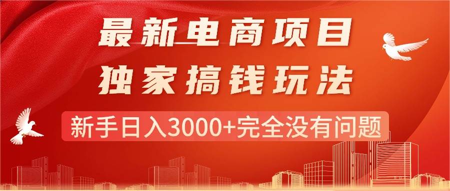 最新电商项目-搞钱玩法，新手日入3000+完全没有问题-BT网赚资源网