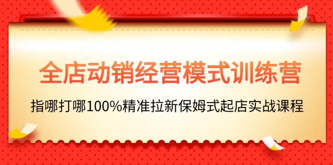 全店动销-经营模式训练营，指哪打哪100%精准拉新保姆式起店实战课程-BT网赚资源网