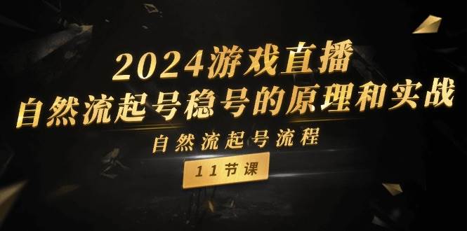 2024游戏直播-自然流起号稳号的原理和实战，自然流起号流程（11节）-BT网赚资源网