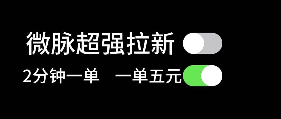 微脉超强拉新， 两分钟1单， 一单利润5块，适合小白-BT网赚资源网