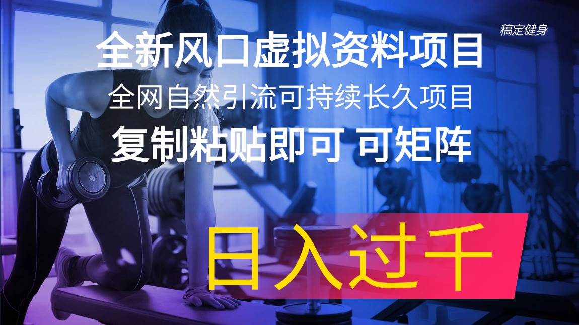 全新风口虚拟资料项目 全网自然引流可持续长久项目 复制粘贴即可可矩阵...-BT网赚资源网