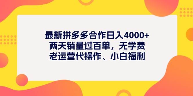 最新拼多多项目日入4000+两天销量过百单，无学费、老运营代操作、小白福利-BT网赚资源网