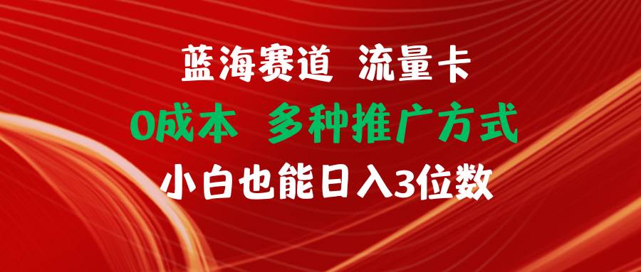 蓝海赛道 流量卡 0成本 小白也能日入三位数-BT网赚资源网