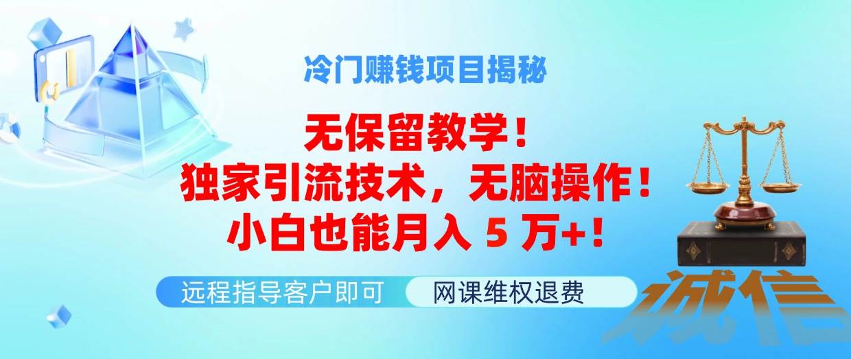 冷门赚钱项目无保留教学！独家引流技术，无脑操作！小白也能月入5万+！-BT网赚资源网