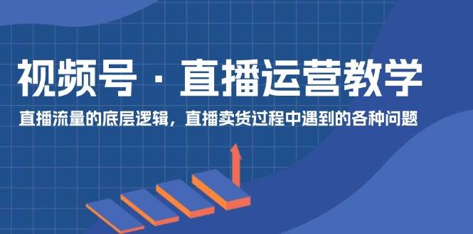 视频号 直播运营教学：直播流量的底层逻辑，直播卖货过程中遇到的各种问题-BT网赚资源网