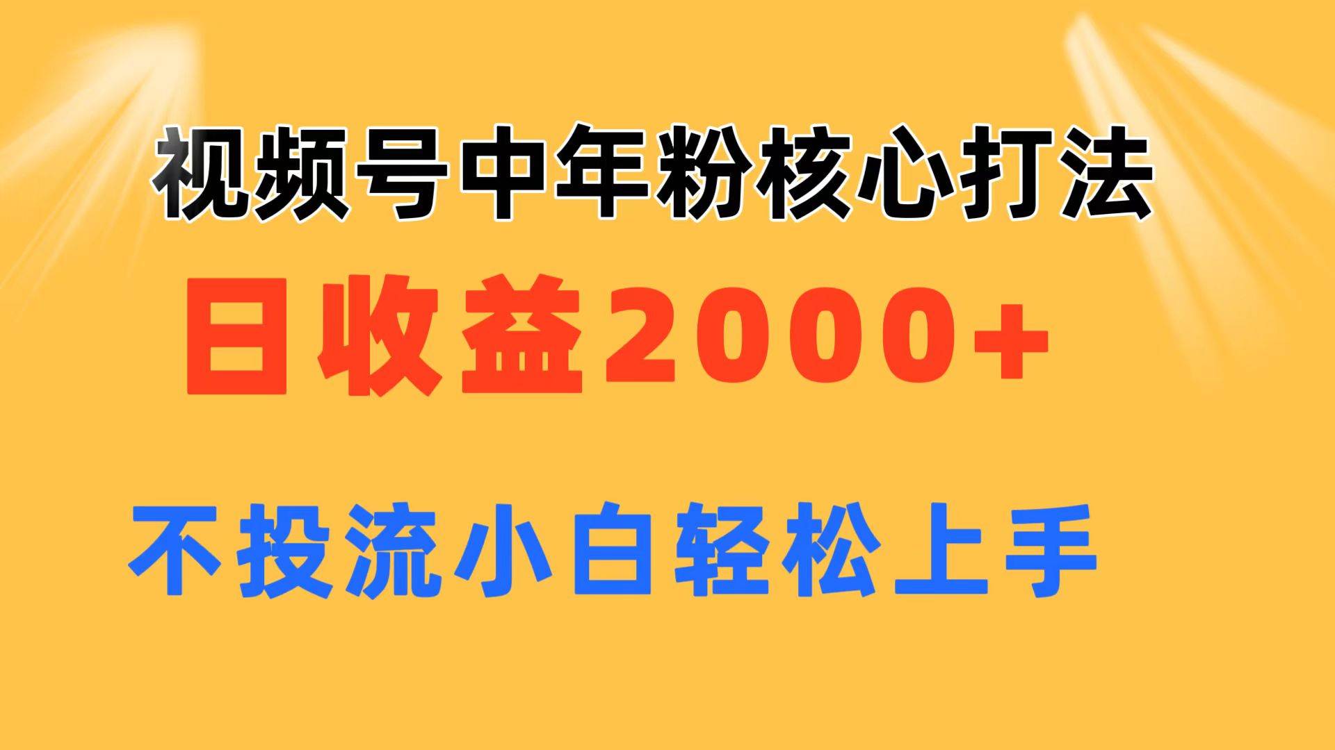 视频号中年粉核心玩法 日收益2000+ 不投流小白轻松上手-BT网赚资源网