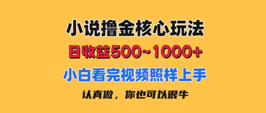 小说撸金核心玩法，日收益500-1000+，小白看完照样上手，0成本有手就行-BT网赚资源网