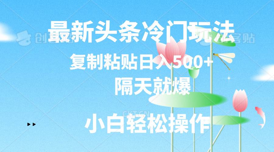 最新头条冷门玩法，隔天就爆，复制粘贴日入500+-BT网赚资源网