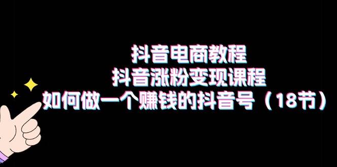 抖音电商教程：抖音涨粉变现课程：如何做一个赚钱的抖音号（18节）-BT网赚资源网