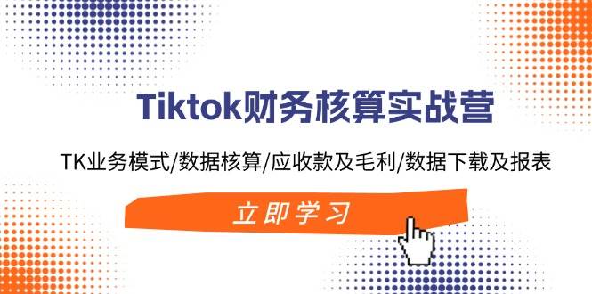 Tiktok财务核算实战营：TK业务模式/数据核算/应收款及毛利/数据下载及报表-BT网赚资源网