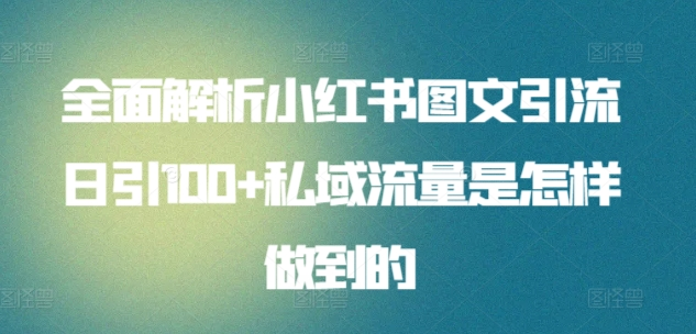 全面解析小红书图文引流日引100私域流量是怎样做到的-BT网赚资源网