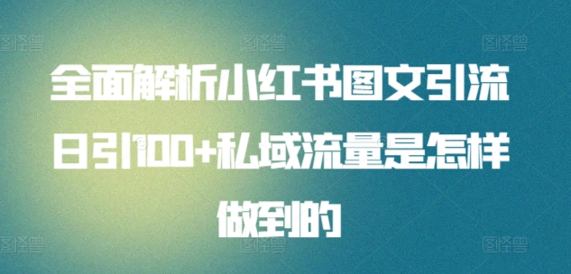 日引流100私域流量小红书图文是怎样做到的全面解析-BT网赚资源网