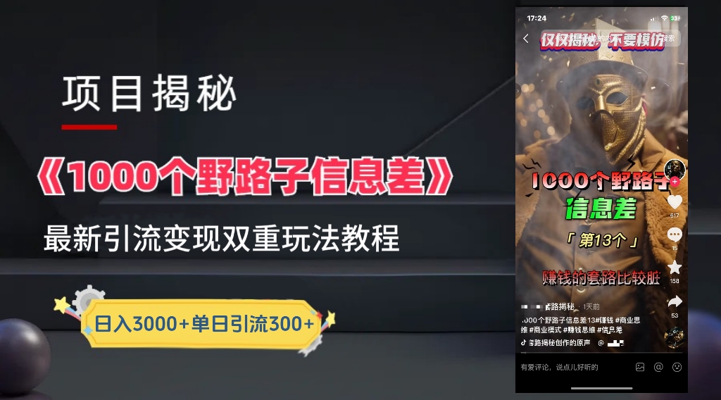 一千个野路子信息差24年最新玩法教程附带变现方法和引流的玩法具体拆解-BT网赚资源网
