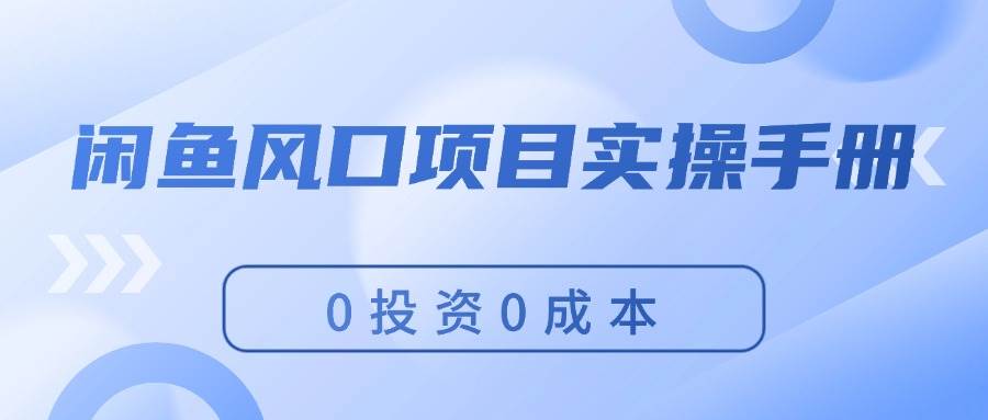 闲鱼风口项目实操手册，0投资0成本，让你做到，月入过万，新手可做-BT网赚资源网