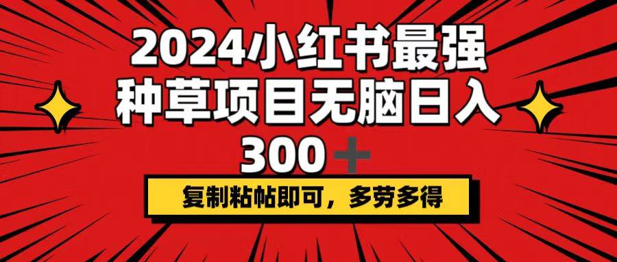 2024小红书最强种草项目，无脑日入300+，复制粘帖即可，多劳多得-BT网赚资源网