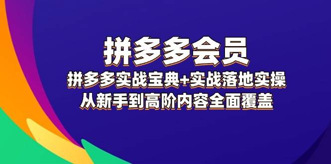 拼多多 会员，拼多多实战宝典+实战落地实操，从新手到高阶内容全面覆盖-BT网赚资源网