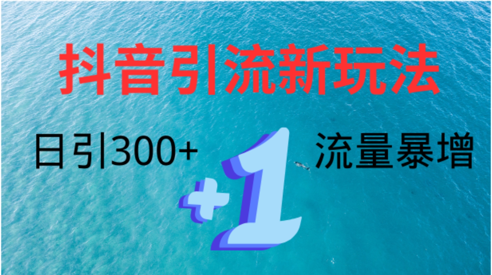 创业粉高效引流，抖音工具号玩法4.0，日引300+-BT网赚资源网