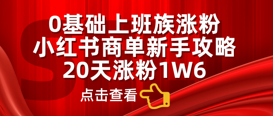 0基础上班族涨粉，小红书商单新手攻略，20天涨粉1.6w-BT网赚资源网