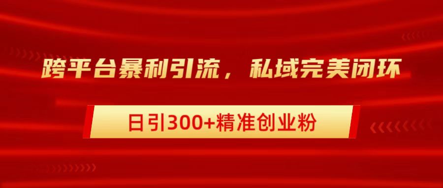 跨平台暴力引流，私域完美闭环，日引300+精准创业粉-BT网赚资源网