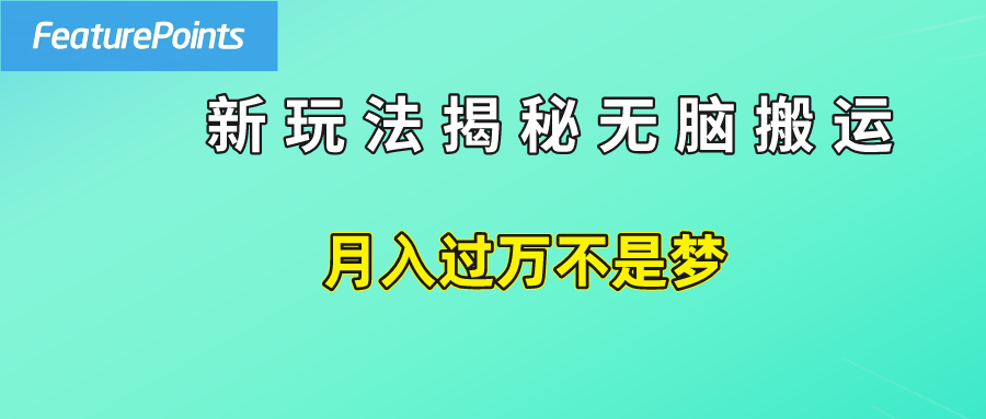 简单操作，每天50美元收入，搬运就是赚钱的秘诀！-BT网赚资源网