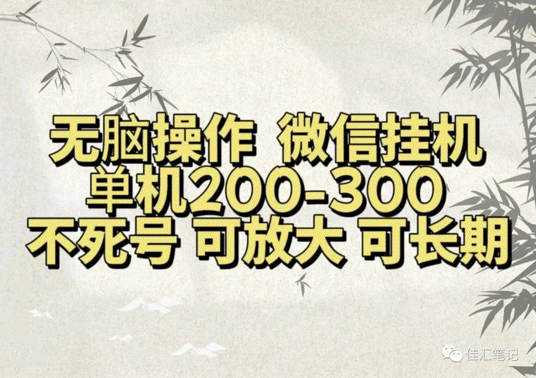 无脑操作微信视频号挂机单机200-300一天，不死号，可放大，工作室实测-BT网赚资源网