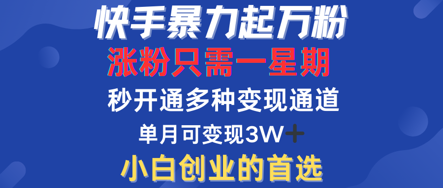 快手暴力起万粉，涨粉只需一星期！多种变现模式-BT网赚资源网